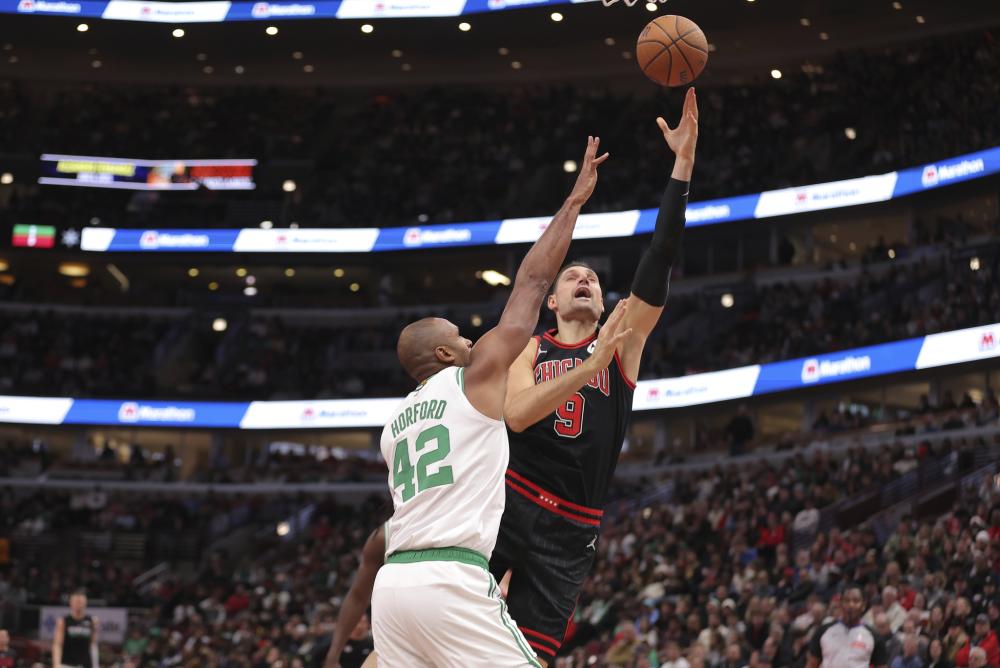 不仅因为 不仅因为